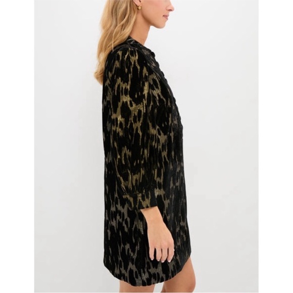 POMANDER PLACE
Metallic Velvet Burnout Samantha Dress - Picture 3 of 12